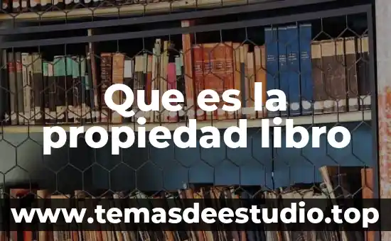 Que es la propiedad libro
