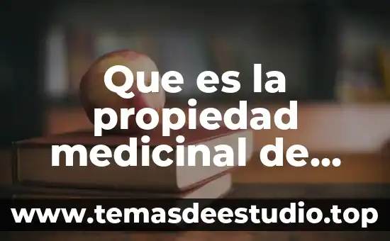 Que es una planta medicinal oms 2017 7 Que es la propiedad medicinal de hierbabuna