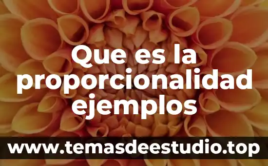 Que es la proporcionalidad ejemplos