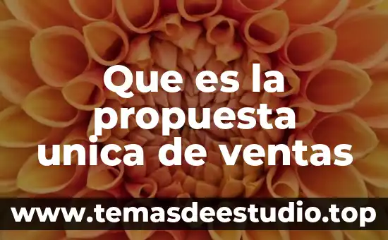 Qué es un estudio de las ventas 5 Que es la propuesta unica de ventas