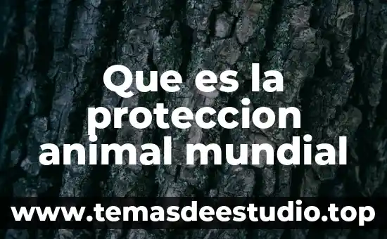 Que es nefrologia animal 3 Que es la proteccion animal mundial