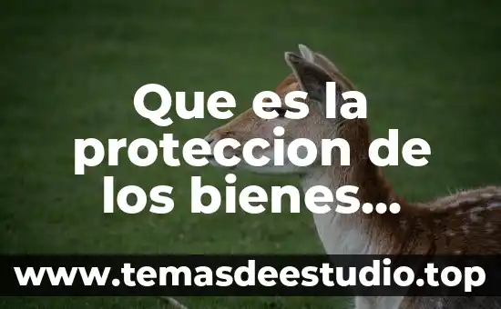 Que es un servicio publicos 8 Que es la proteccion de los bienes publicos