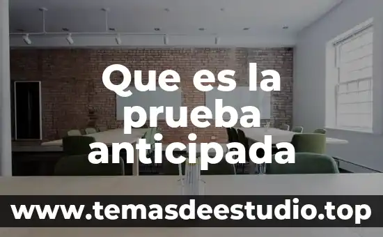 Que es la prueba del concepto 4 Que es la prueba anticipada