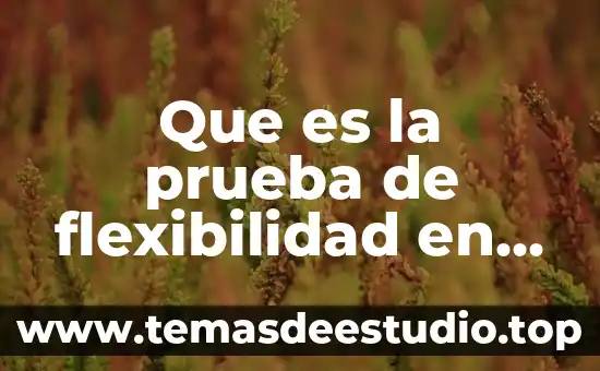 Que es flexibilidad de planta 6 Que es la prueba de flexibilidad en v