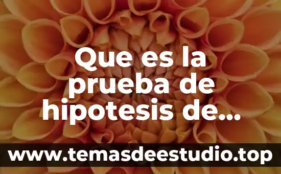 Qué es el sujeto según la Real Academia Española 7 Que es la prueba de hipotesis de investigación google academia