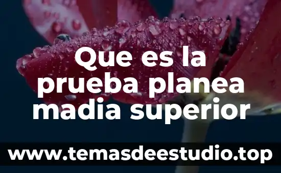 Qué es la educación superior y la educación media superior 5 Que es la prueba planea madia superior