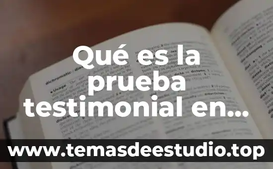 Qué es la prueba testimonial en materia penal