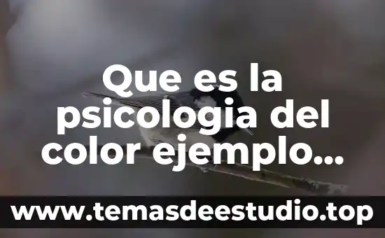 Que es el color de texto 6 Que es la psicologia del color ejemplo de cada color