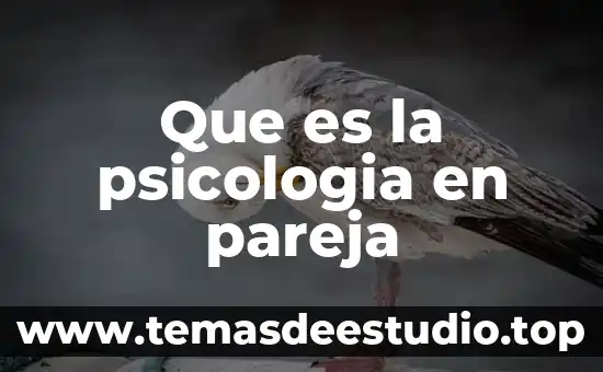 Que es la psicología psicologia y mente 3 Que es la psicologia en pareja