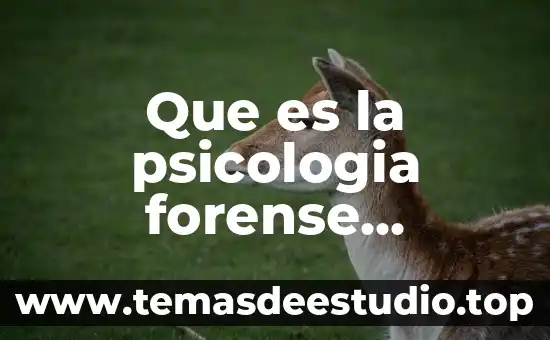 Que es la psicologia forense criminal