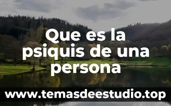 Que es la psiquis de una persona