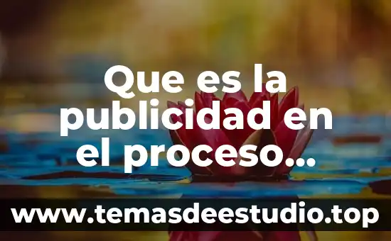 Que es una publicidad de intriga 8 Que es la publicidad en el proceso penal