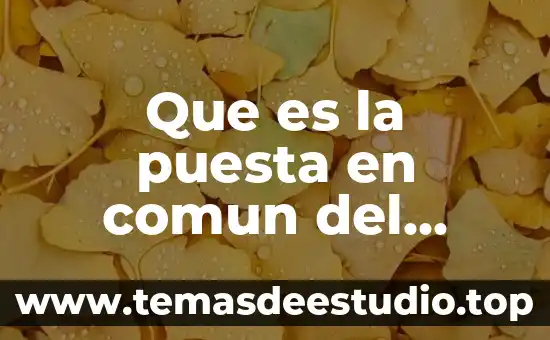 Qué es el peptidoglicano definición 7 Que es la puesta en comun del trabajo