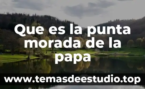 Que es la punta morada de la papa