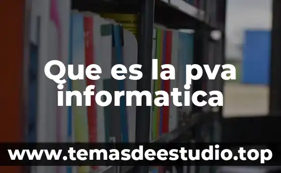 Que es la pva informatica