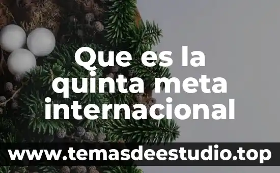 Que es la quinta meta internacional