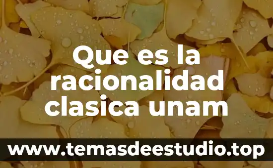 Que es la racionalidad clasica unam