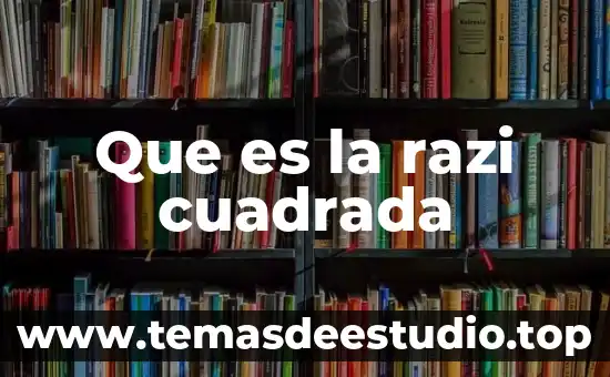 Que es nariz cuadrada 4 Que es la razi cuadrada