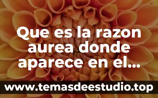 Qué es razón lógica 4 Que es la razon aurea donde aparece en el libro