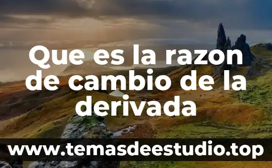 Que es una derivada parcial ejemplos 8 Que es la razon de cambio de la derivada