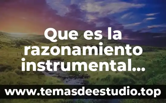 Que es la sociedad segun habermas 5 Que es la razonamiento instrumental segun jurgen habermas