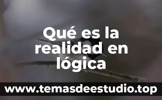 Qué es la realidad en lógica