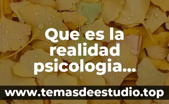 Qué es el social consumer 8 Que es la realidad psicologia social