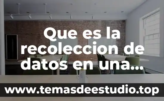 Que es la recoleccion de datos en una investigacion sampieri