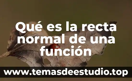 Que es un descendiente en linea recta 5 Qué es la recta normal de una función
