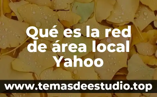 Qué es un área de intervención concepto 3 Qué es la red de área local Yahoo