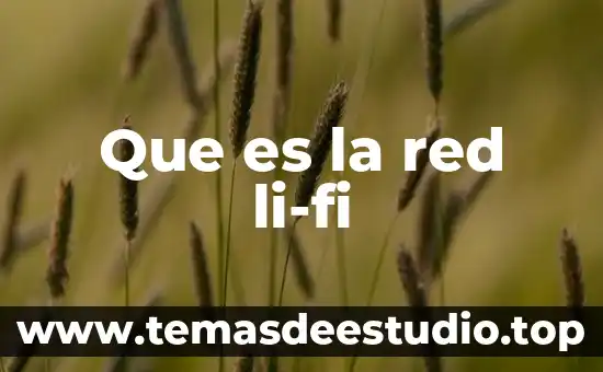 Que es lo que explica la historia del principito 4 Que es la red li-fi