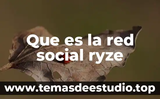 Que es vivienda social arquitectura 4 Que es la red social ryze