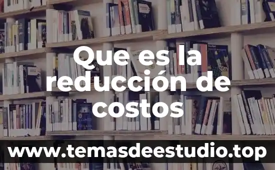 Que es la reducción de costos