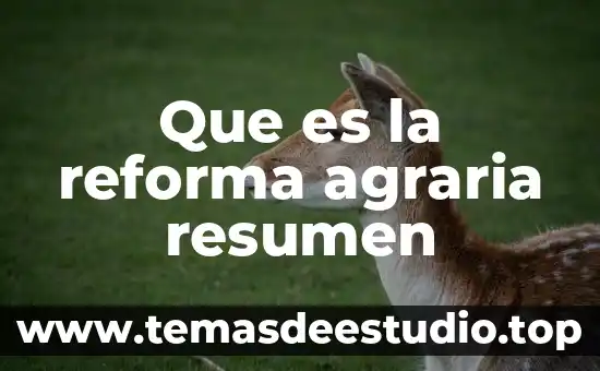 Qué es la reforma fiscal o hacendaria 3 Que es la reforma agraria resumen