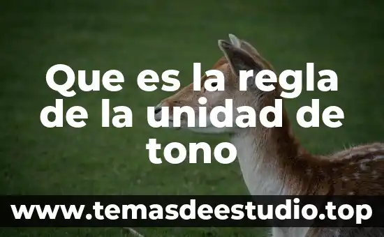 Que es el significado de la regla de educacion fisica 6 Que es la regla de la unidad de tono