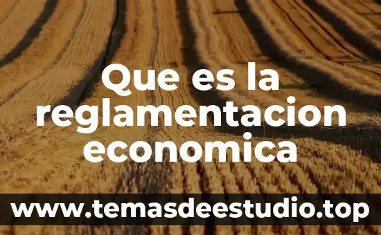 Doctrina económica que es 6 Que es la reglamentacion economica