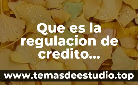Que es una empresas calificadoras de credito 4 Que es la regulacion de credito macroeconomia