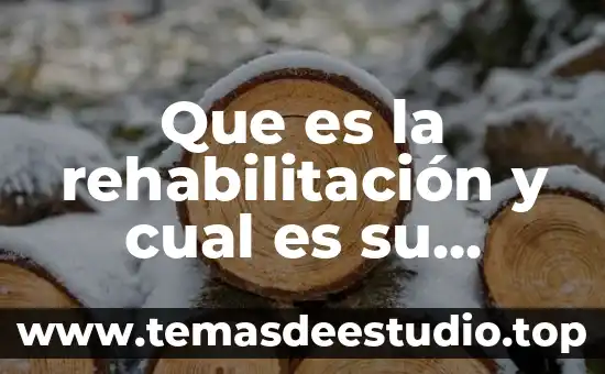 Que es la rehabilitación y cual es su historia