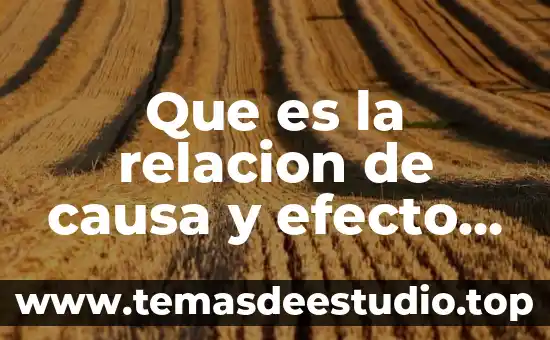 Que es la relacion de causa y efecto para niños