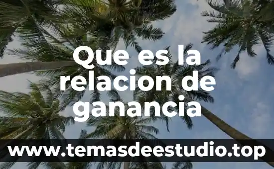 Que es significa relacion 5 Que es la relacion de ganancia