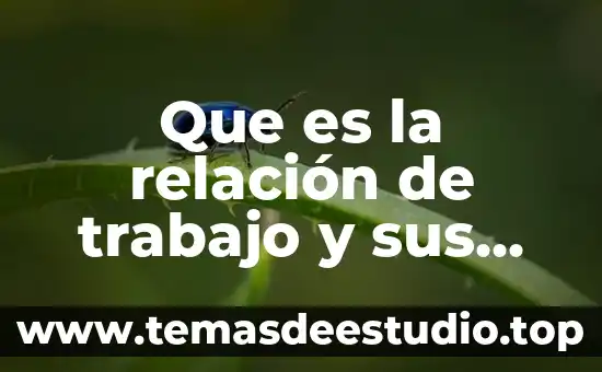 Que es la relación de trabajo y sus elementos