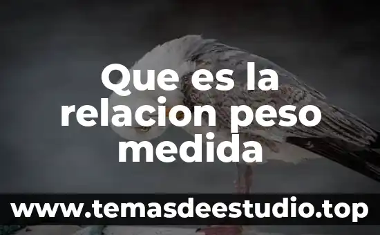 Que es la relacion peso medida