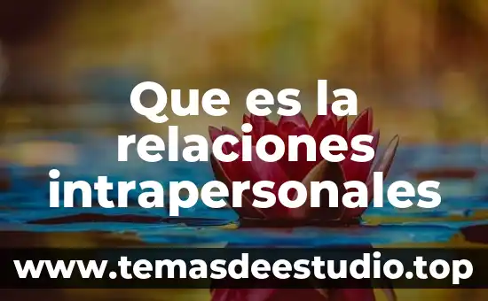 Qué es el número VIN de un coche 5 Que es la relaciones intrapersonales