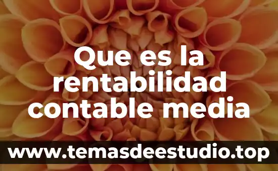 Que es un media en arquitectura 5 Que es la rentabilidad contable media