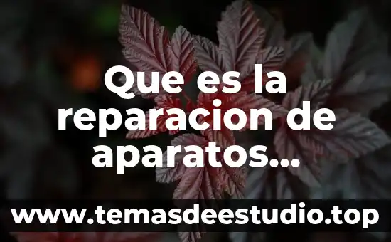 Excitativa de justicia que es ejemplar 4 Que es la reparacion de aparatos electronicos
