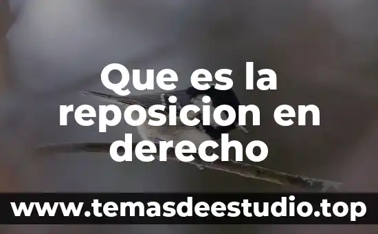 Que considero que es el derecho 6 Que es la reposicion en derecho