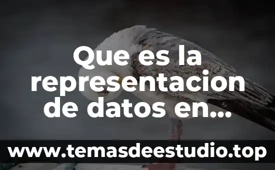 Que es la representacion de datos en geografia