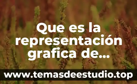Que es una parabola y como se grafica 7 Que es la representación grafica de funciones