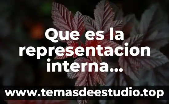 Que es la representacion interna definicion