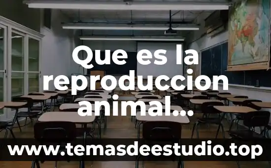 Estados en México que es legal la reproducción asistida 8 Que es la reproduccion animal significado